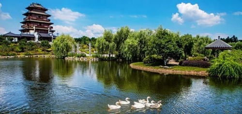 心動之旅！僅99元，12月3日韶山、花明樓純玩一日游，開啟紅色文化體驗